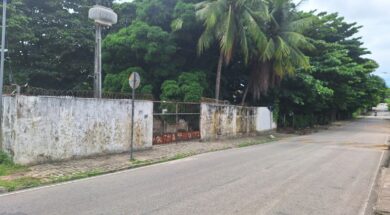 Poluição no Parque Ambiental Boi Só