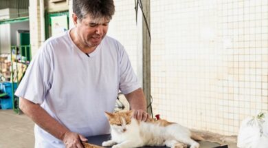 Parceria entre Ruy e UFPB fortalece proteção animal e contribui para arquivamento de inquérito do MPF